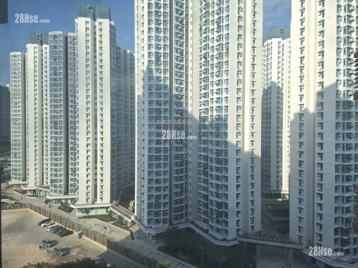 东环 租盘 483 平方尺