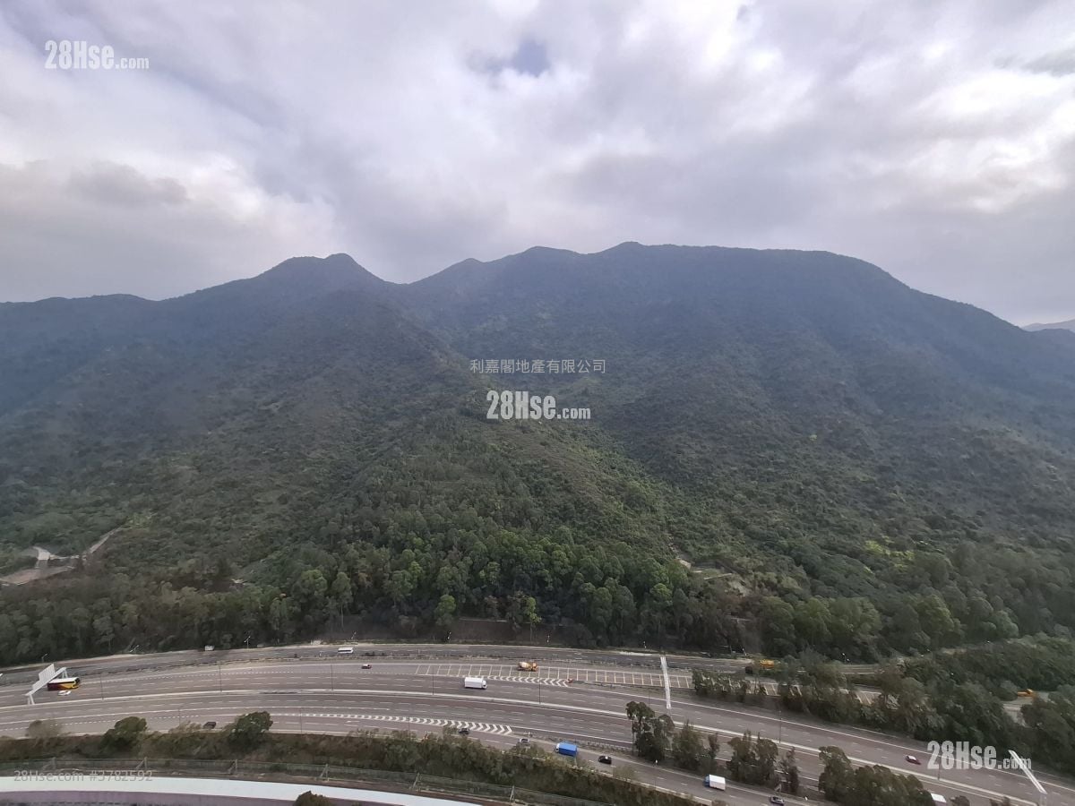 映湾园 租盘 565 平方尺