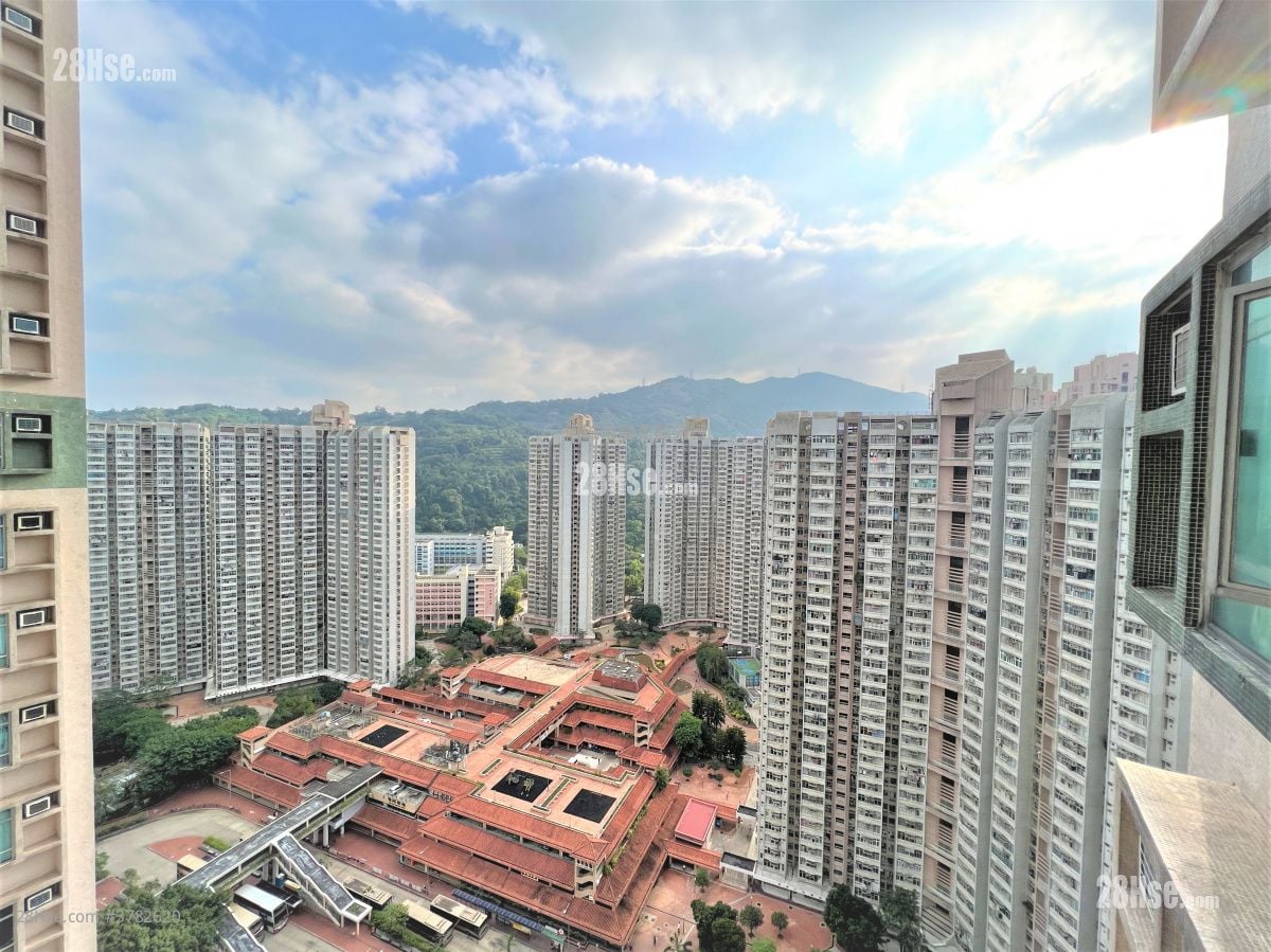 Flora Plaza Rental 3 Bedrooms , 1 Bathroom 526 ft²