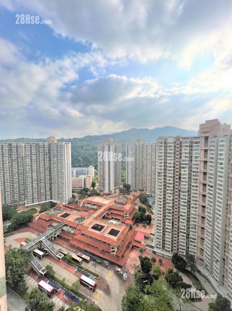 Flora Plaza Rental 3 Bedrooms , 1 Bathroom 526 ft²