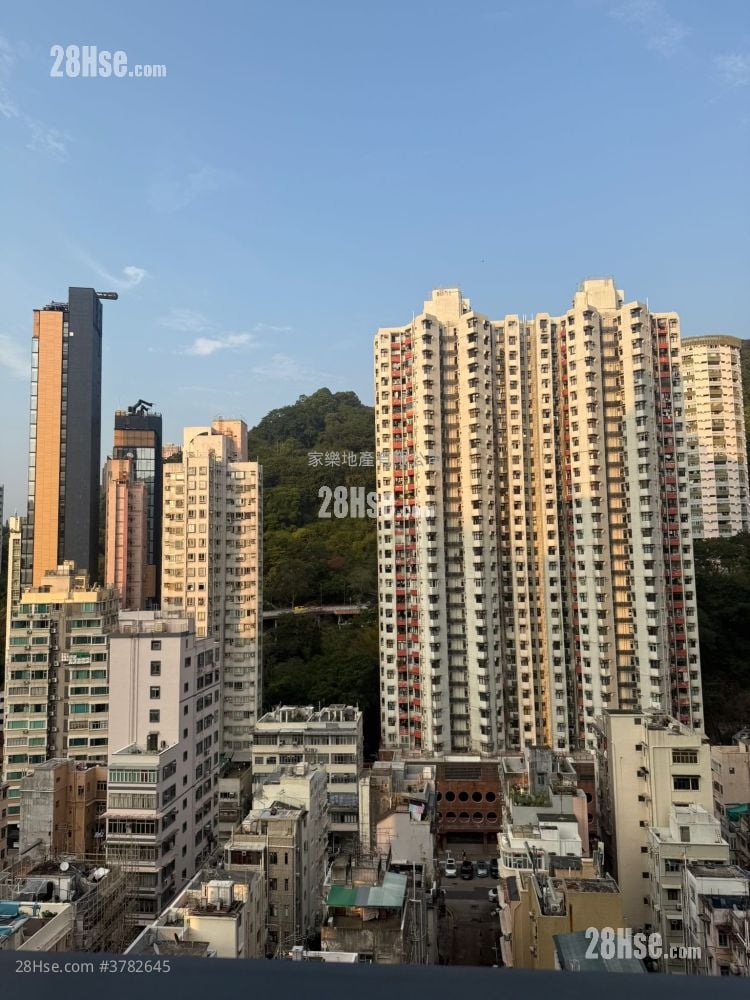 Warrenwoods Rental Studio , 1 Bathroom 265 ft²