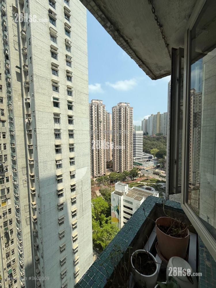 Jimmy豆生 63460809