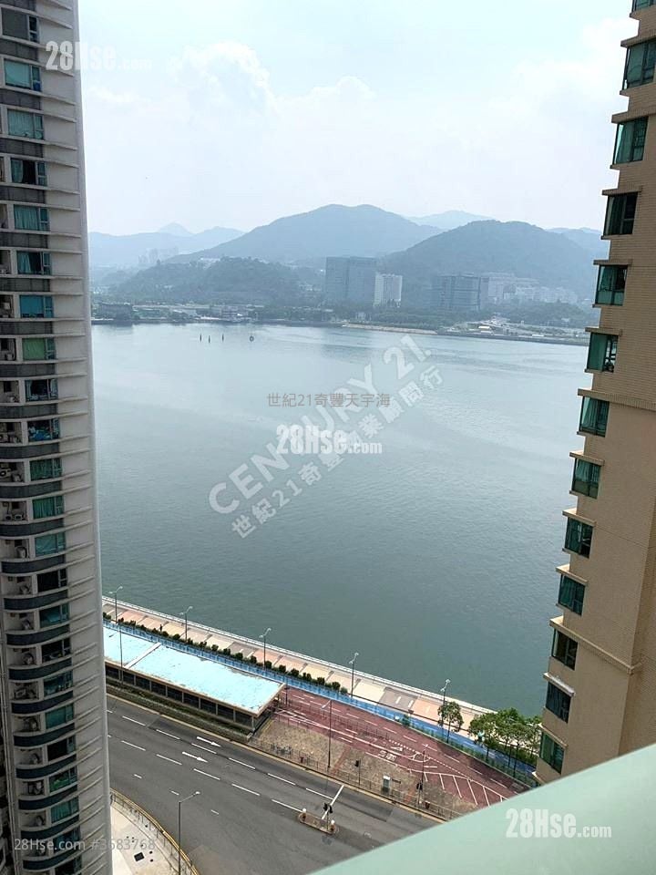 Jimmy豆生 63460809