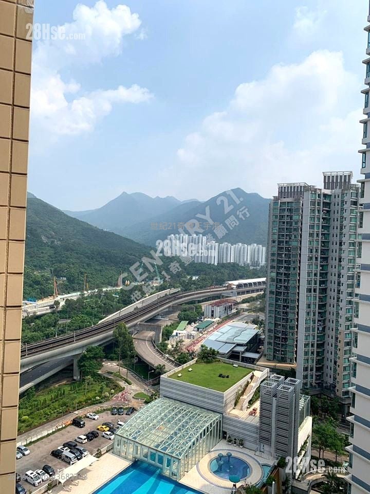 Jimmy豆生 63460809