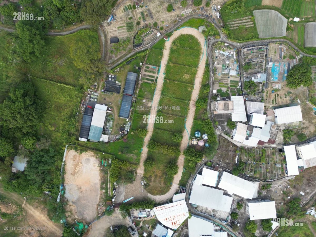 锦田 租盘 43,000 平方尺