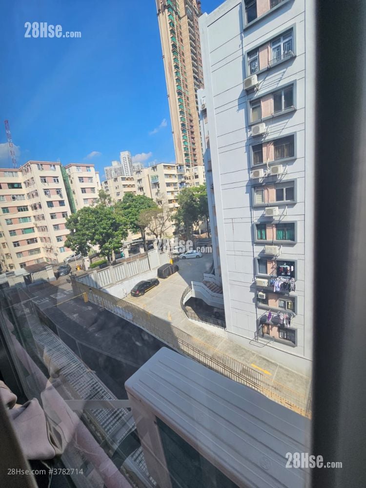 碧丽阁 租盘 2 房 , 1 浴室 556 平方尺