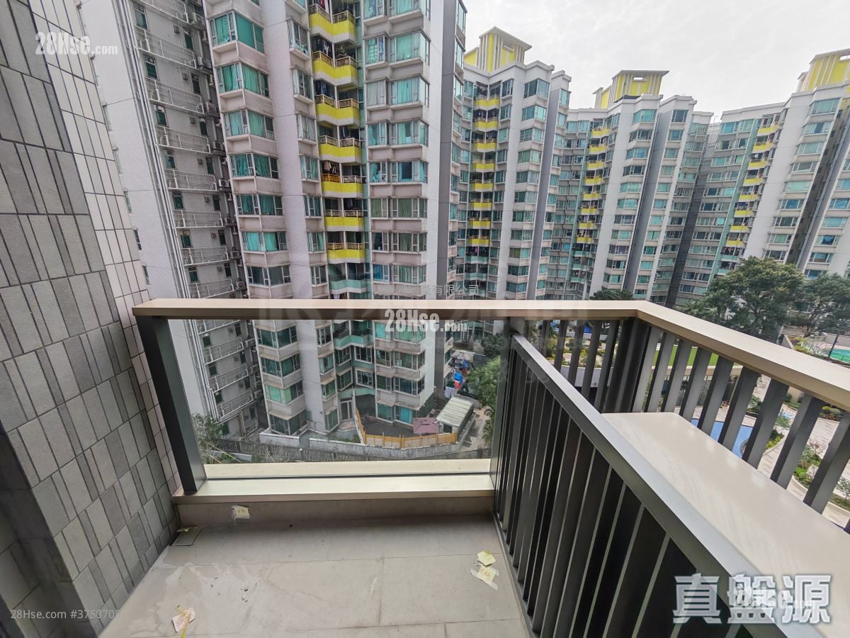 朗天峰 售盘 1 房 291 平方尺