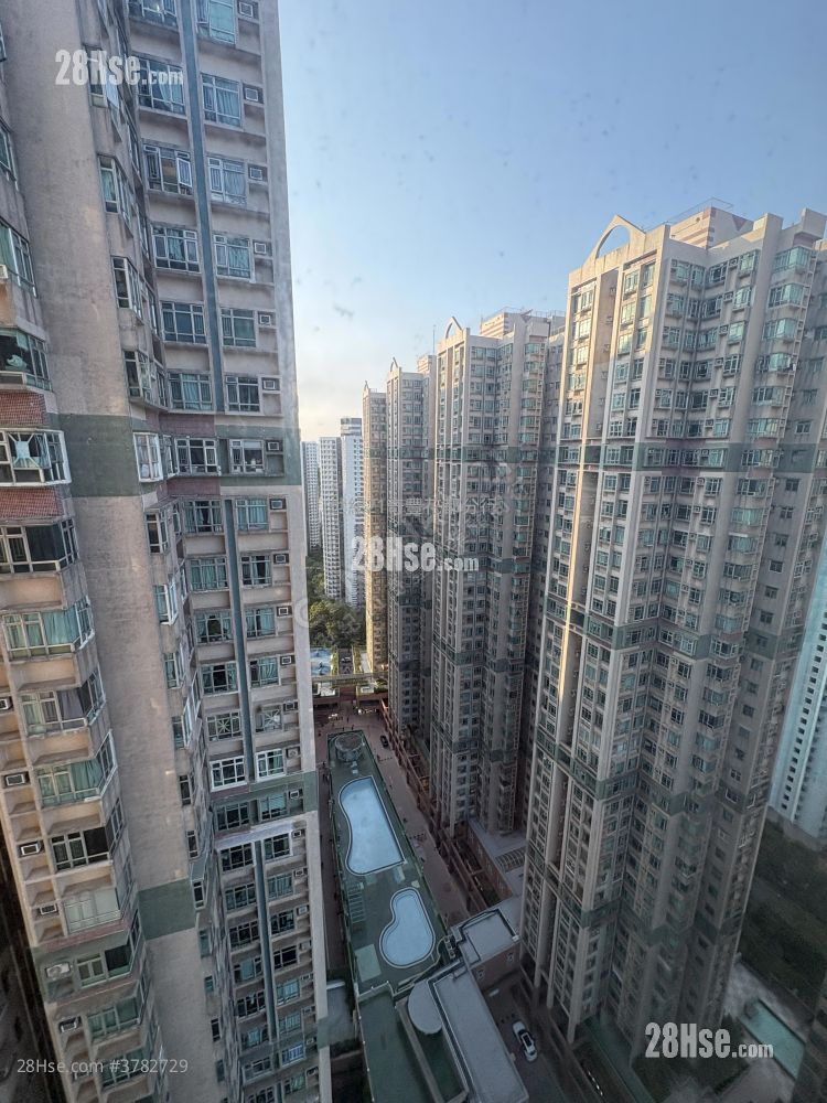 Flora Plaza Rental 2 Bedrooms , 1 Bathroom 370 ft²