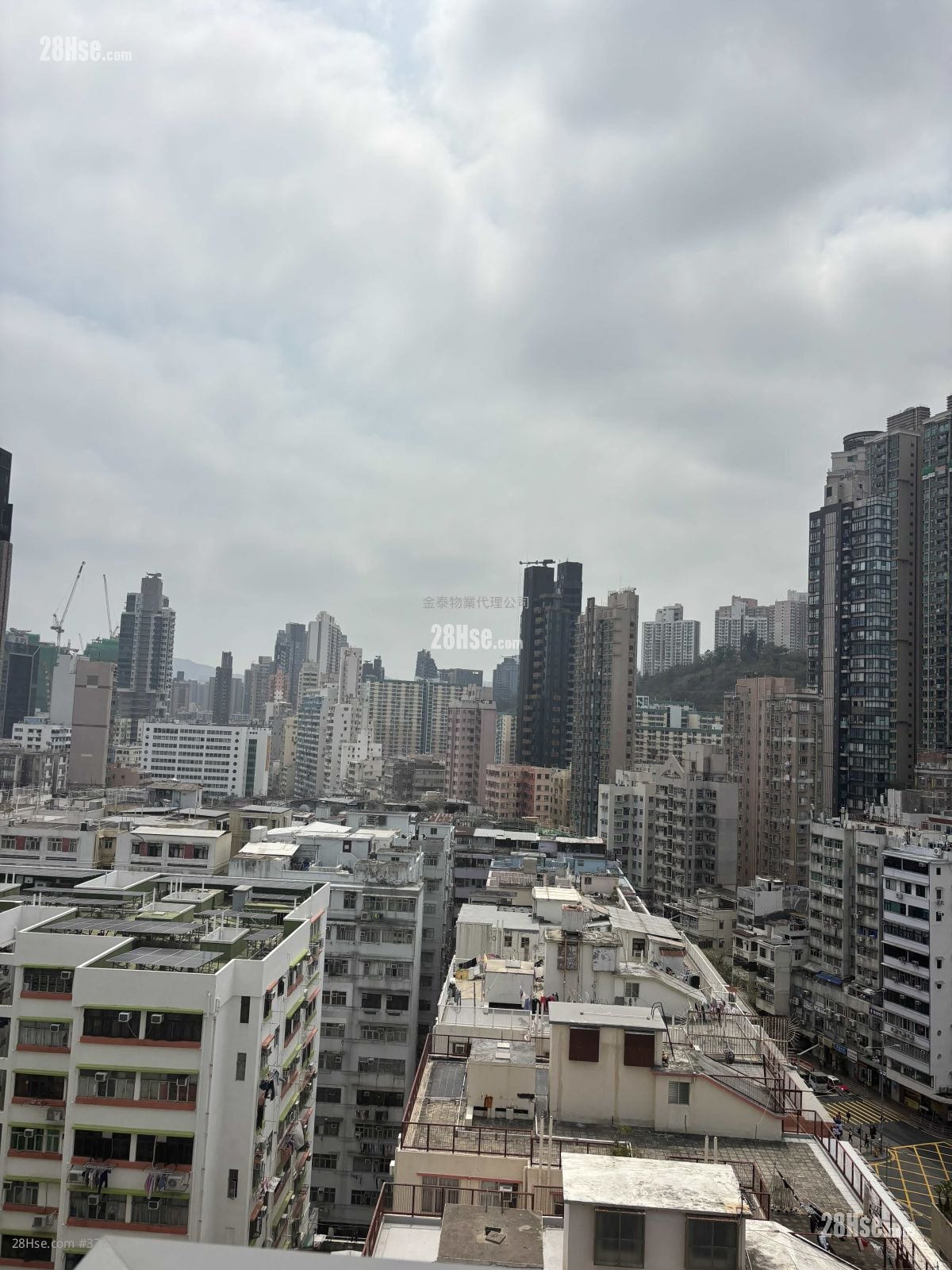 Downtown 38 Rental 1 Bedroom , 1 Bathroom 300 ft²