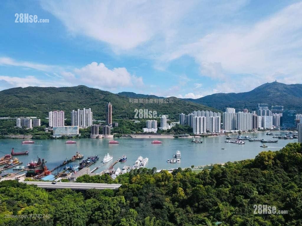 荟蓝 租盘 开放式间隔 , 1 浴室 207 平方尺