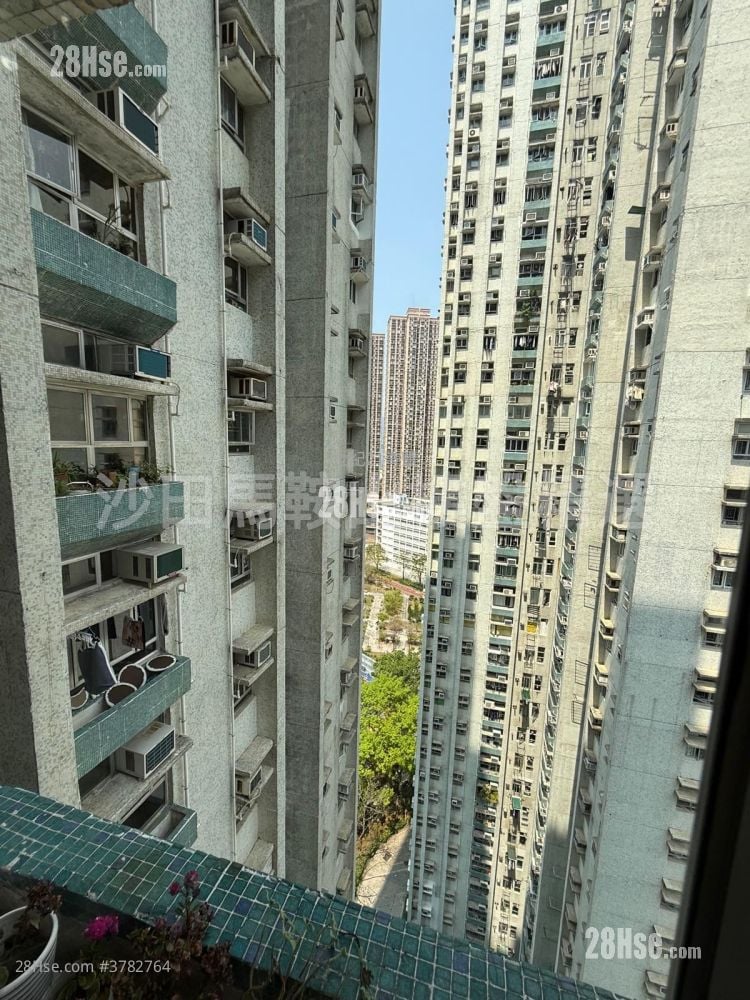 锦禧苑 售盘 3 房 , 1 浴室 554 平方尺