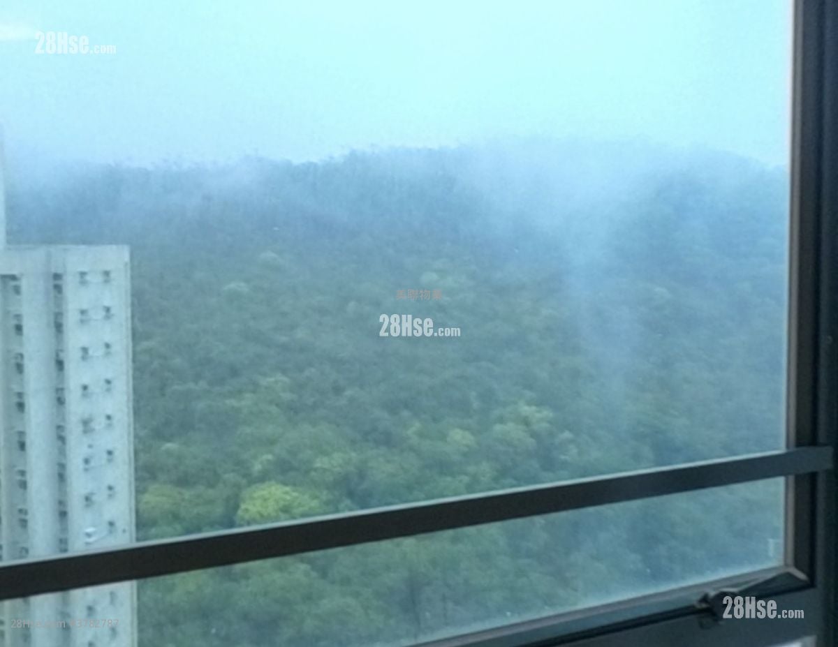 The Metro City Sell 2 Bedrooms , 1 Bathroom 441 ft²