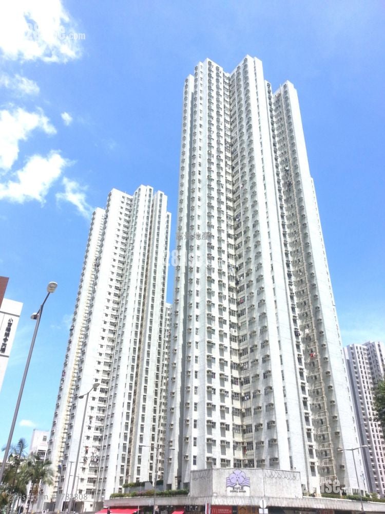 富怡花园 售盘 3 房 592 平方尺