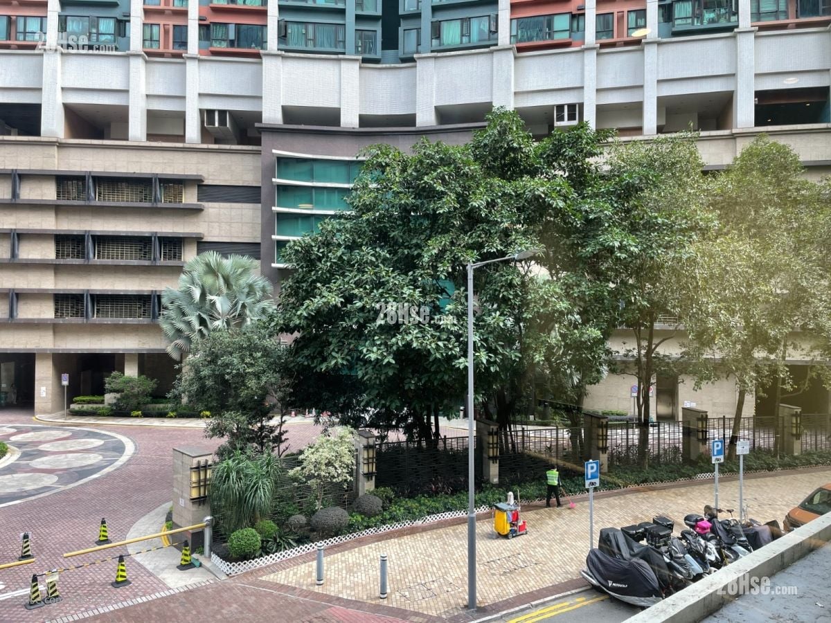 派龙中心 租盘 450 平方尺