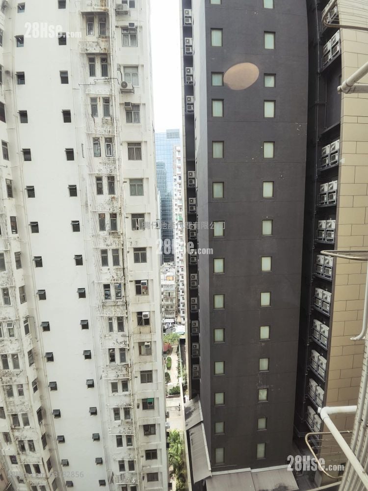 顶旺大厦 租盘 2 房 , 1 浴室 338 平方尺