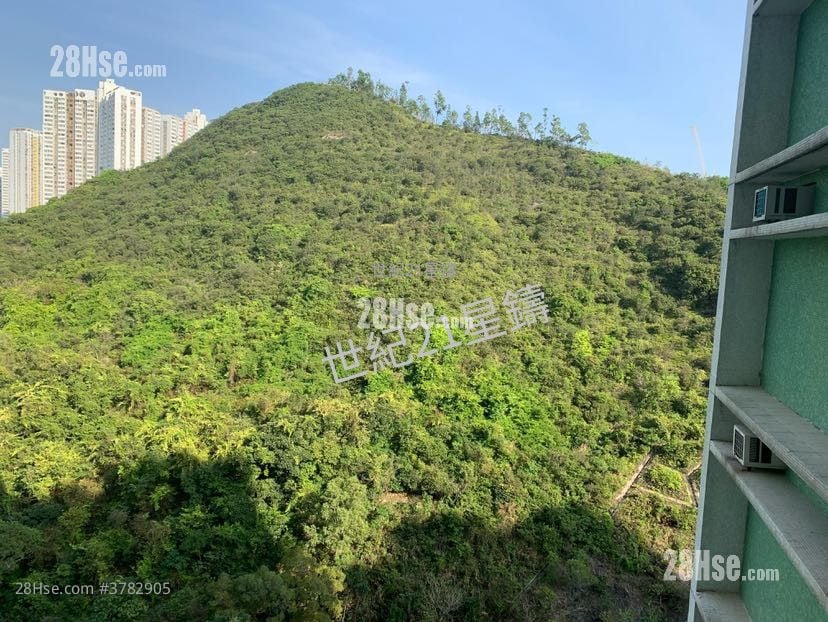 South Horizons Rental 3 Bedrooms , 2 Bathrooms 736 ft²