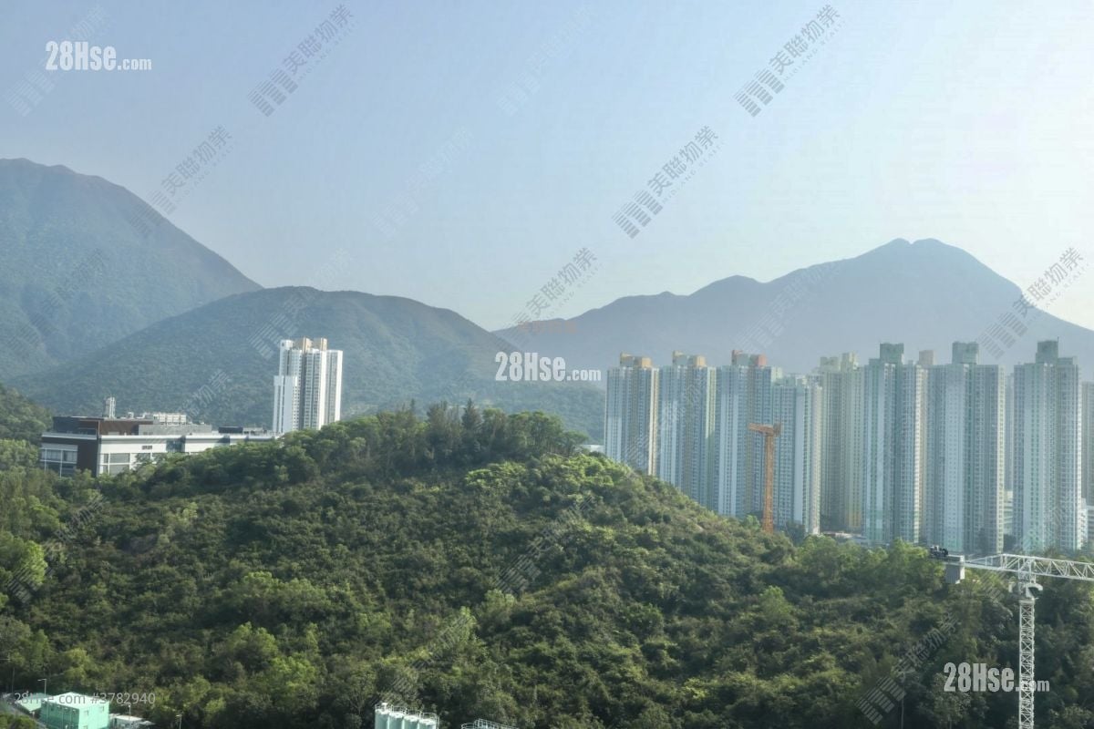 东堤湾畔 售盘 2 房 531 平方尺