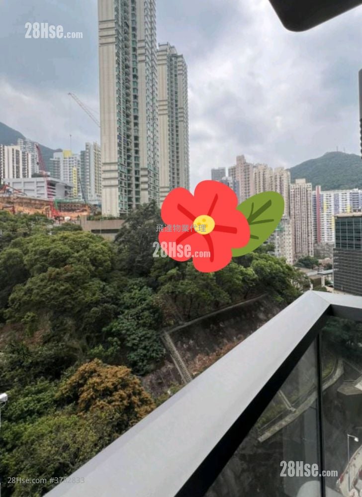 Kennedy 38 Rental Studio , 1 Bathroom 260 ft²