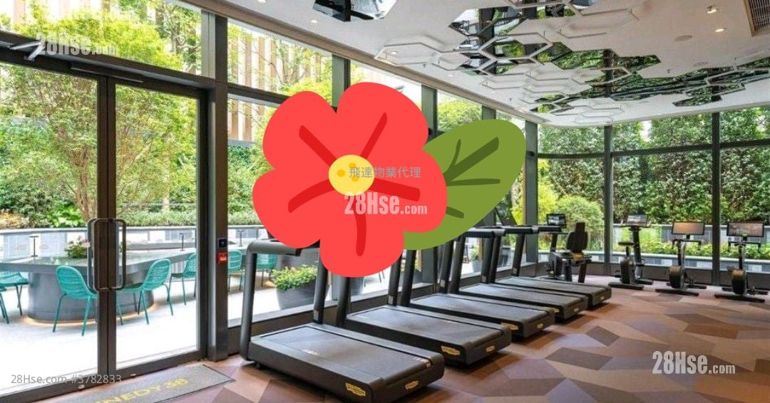 Kennedy 38 Rental Studio , 1 Bathroom 260 ft²