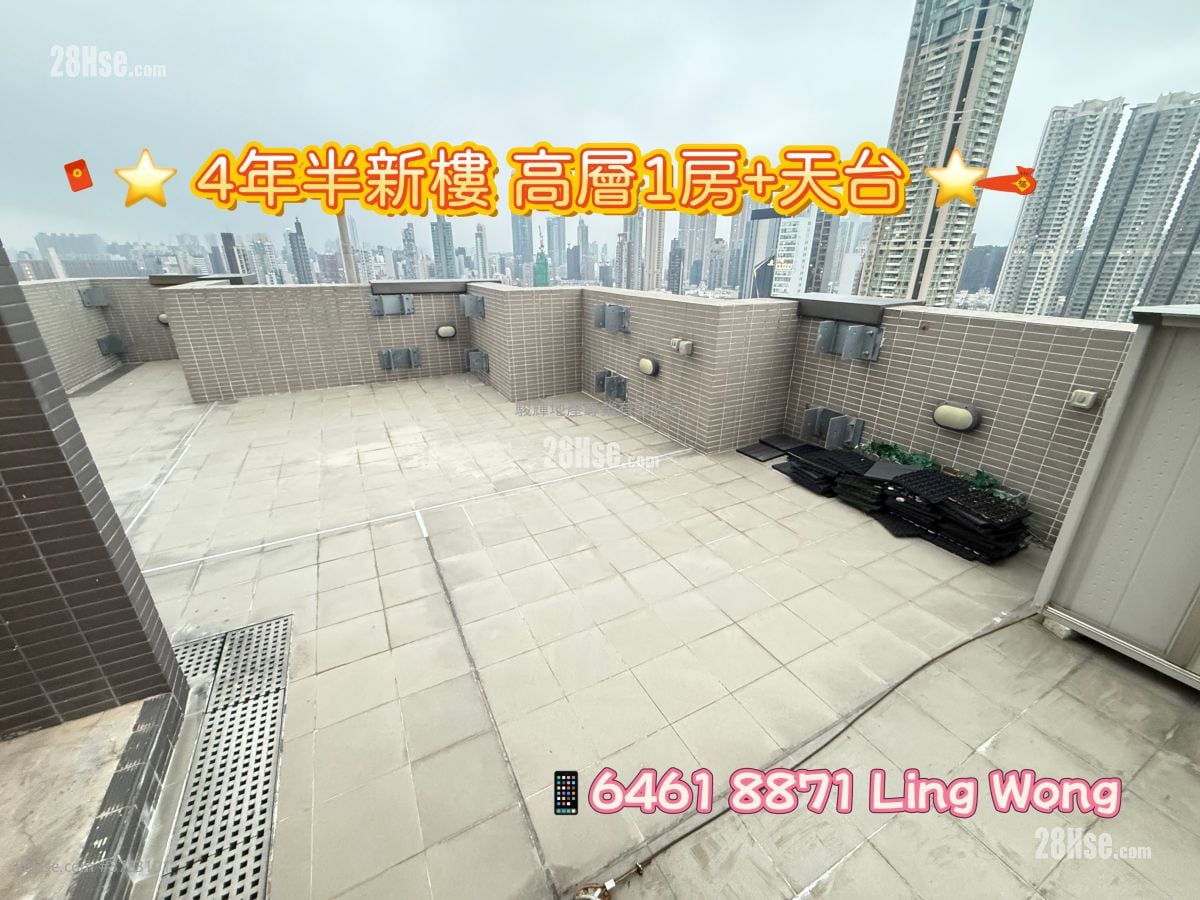 AVA228 租盘 1 房 , 1 浴室 249 平方尺