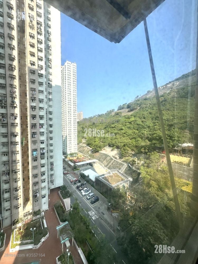 乐轩台 售盘 3 房 , 2 浴室 564 平方尺