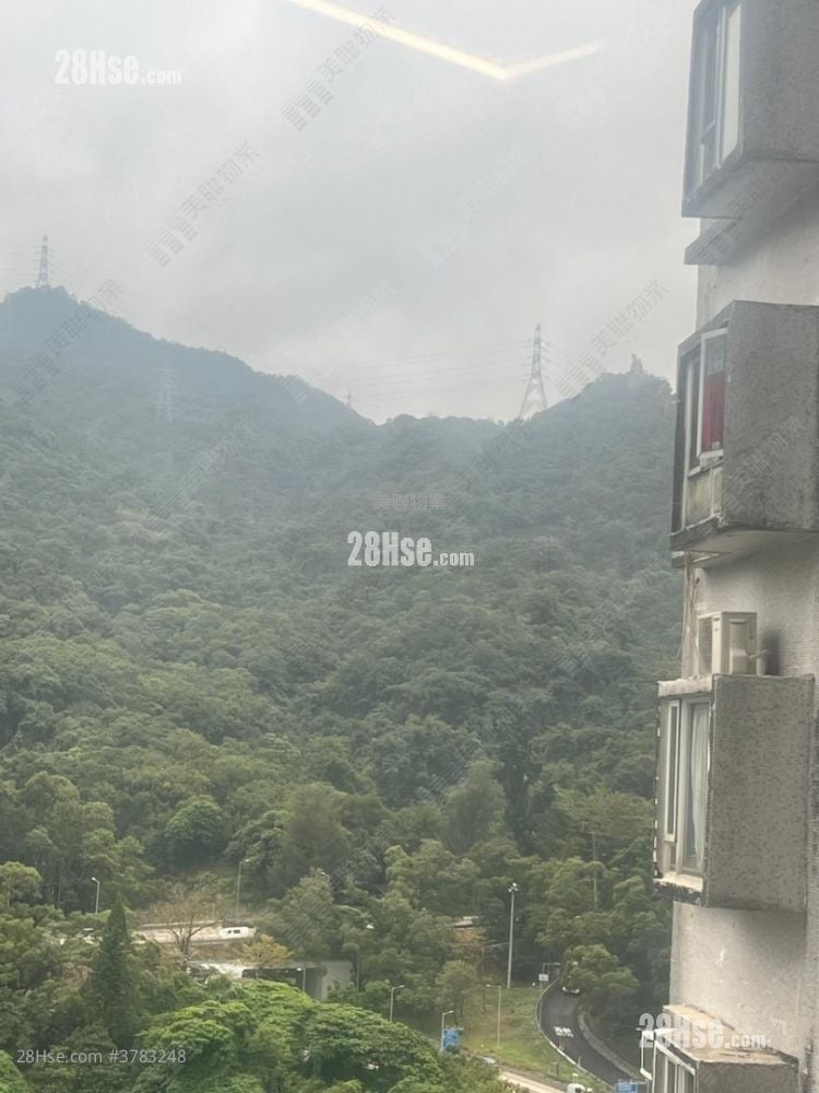 金狮花园 售盘 1 房 321 平方尺