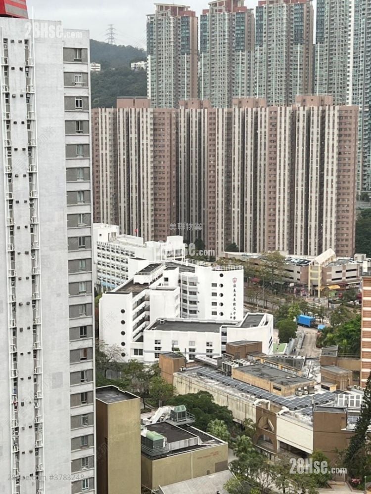 金狮花园 售盘 1 房 321 平方尺