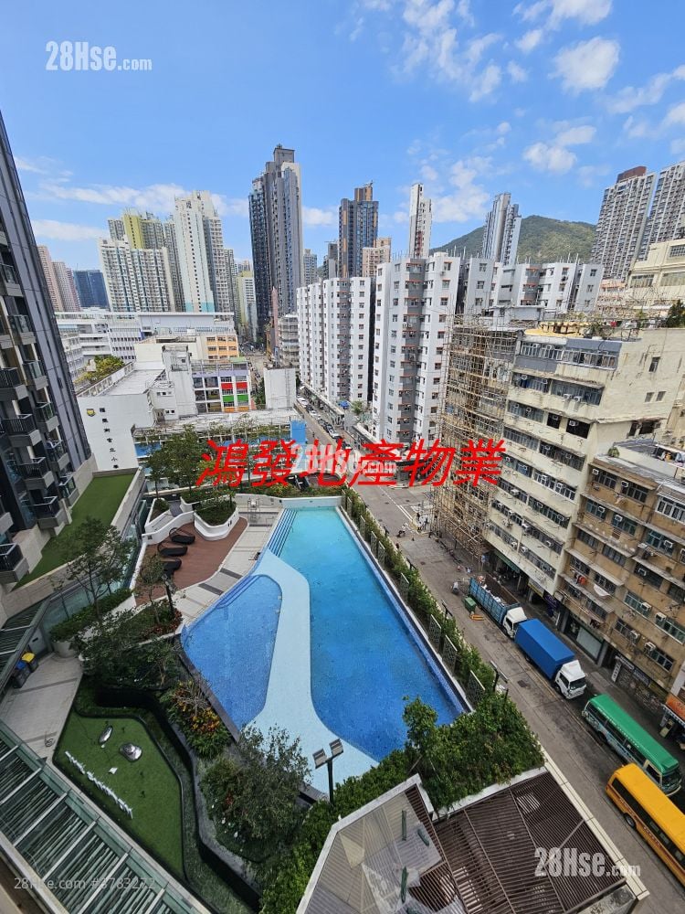 The Campton 1B期 租盘 开放式间隔 , 1 浴室 287 平方尺