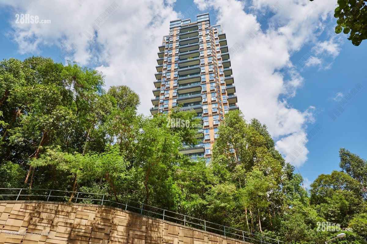 皇璧 售盘 4 房 , 5+ 浴室 2,561 平方尺