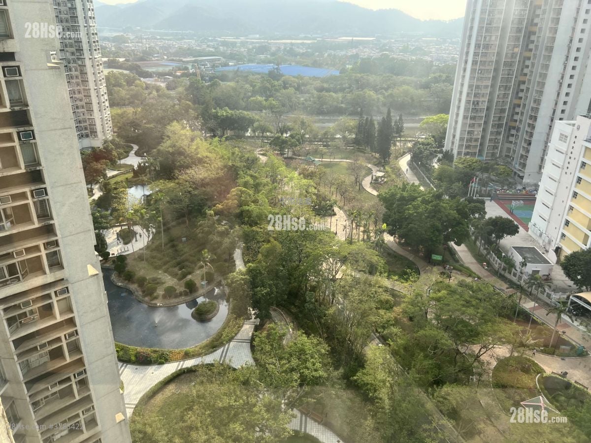 Kingswood Villas Rental 449 ft²