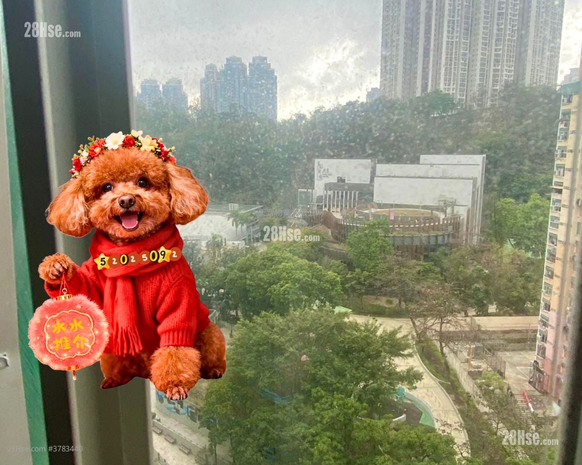 Faerie Court Sell 2 Bedrooms , 1 Bathroom 270 ft²