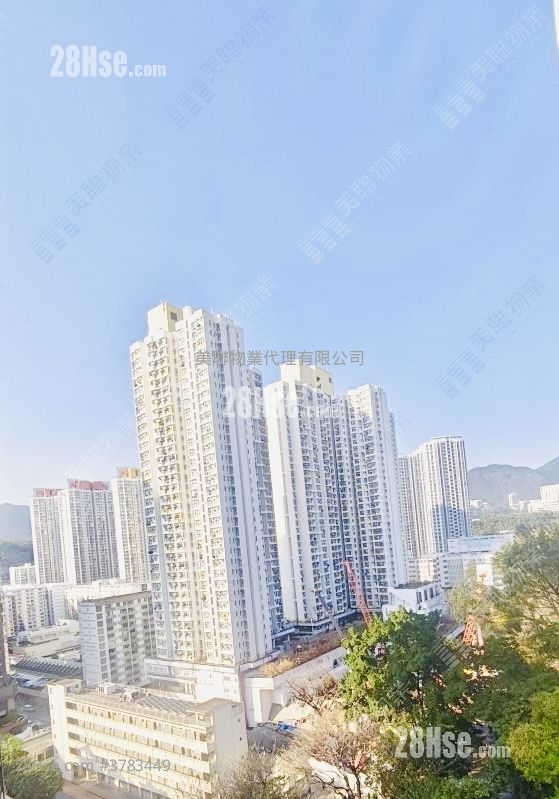 The Paddington Sell 1 Bedroom 305 ft²