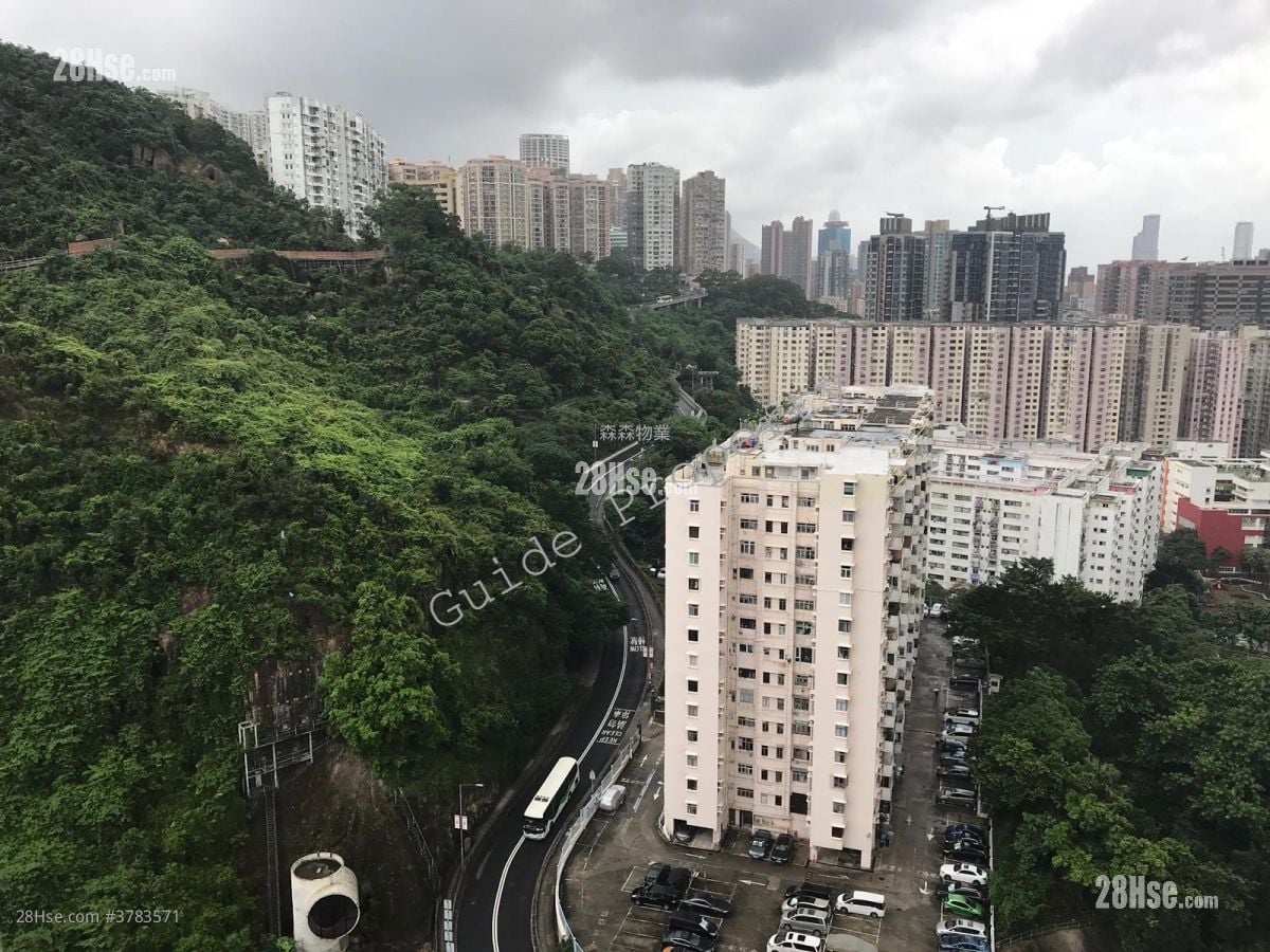 君豪峰 租盘 1 房 , 1 浴室 297 平方尺