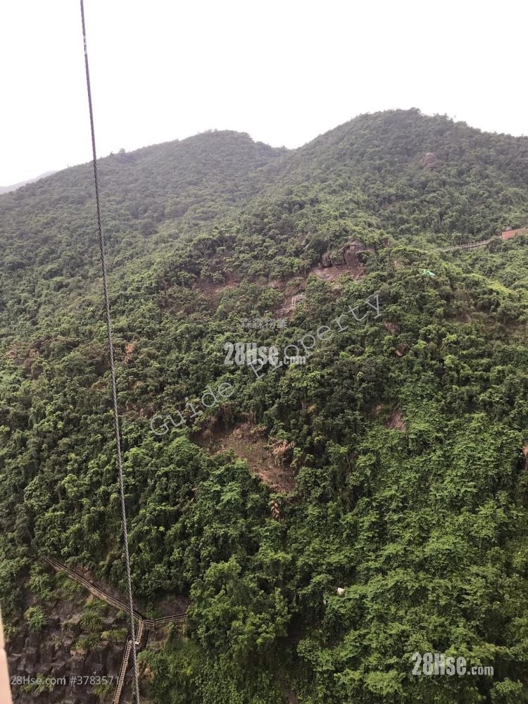 君豪峰 租盘 1 房 , 1 浴室 297 平方尺