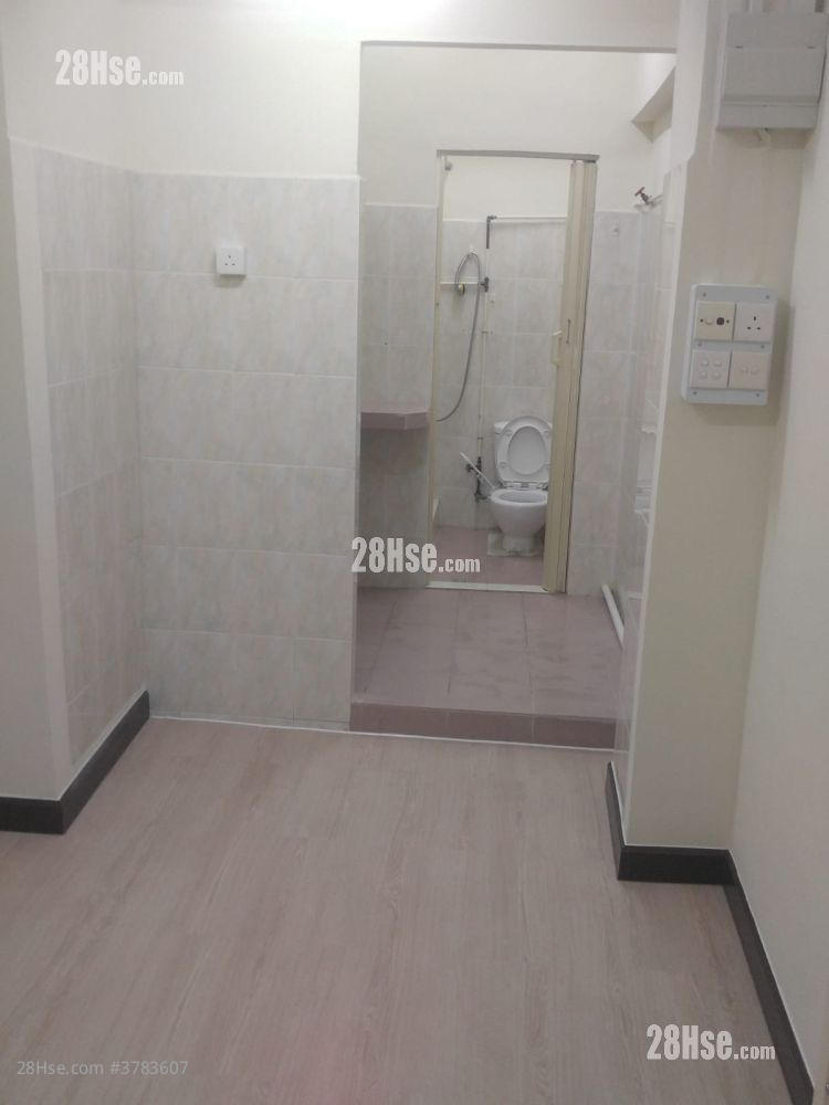 唐楼 租盘 260 平方尺