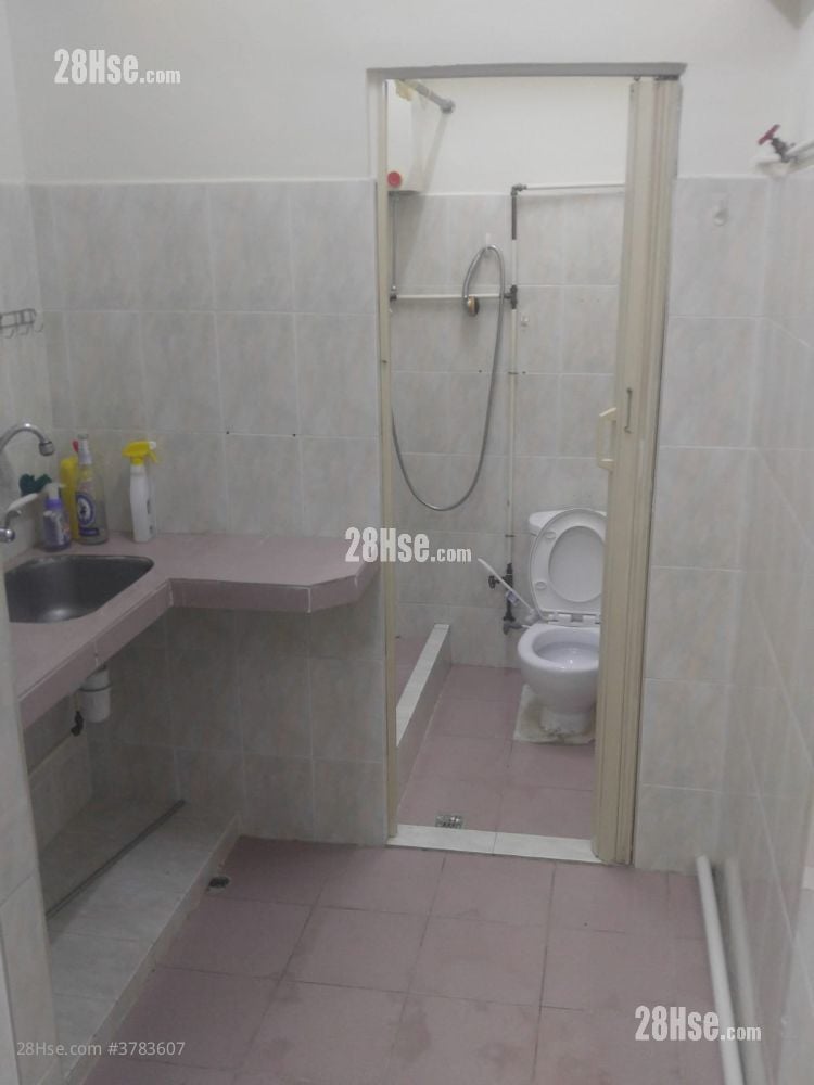 唐楼 租盘 260 平方尺