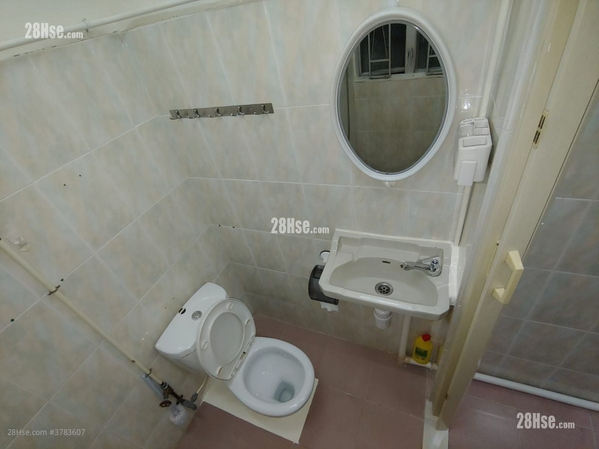 唐楼 租盘 260 平方尺