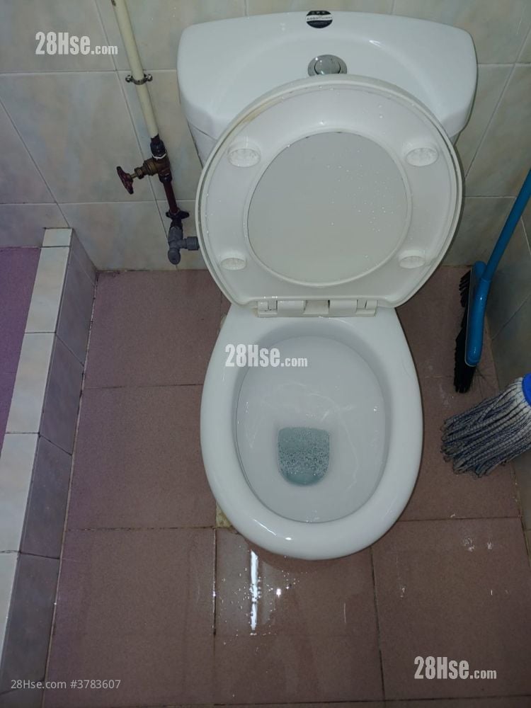 唐楼 租盘 260 平方尺