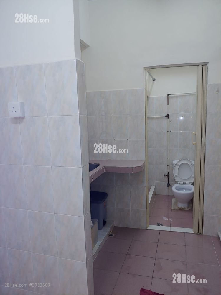 唐楼 租盘 260 平方尺