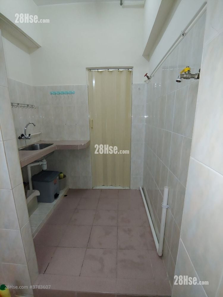 唐楼 租盘 260 平方尺