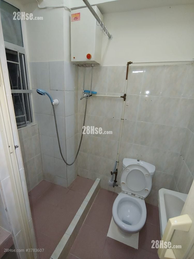 唐楼 租盘 260 平方尺