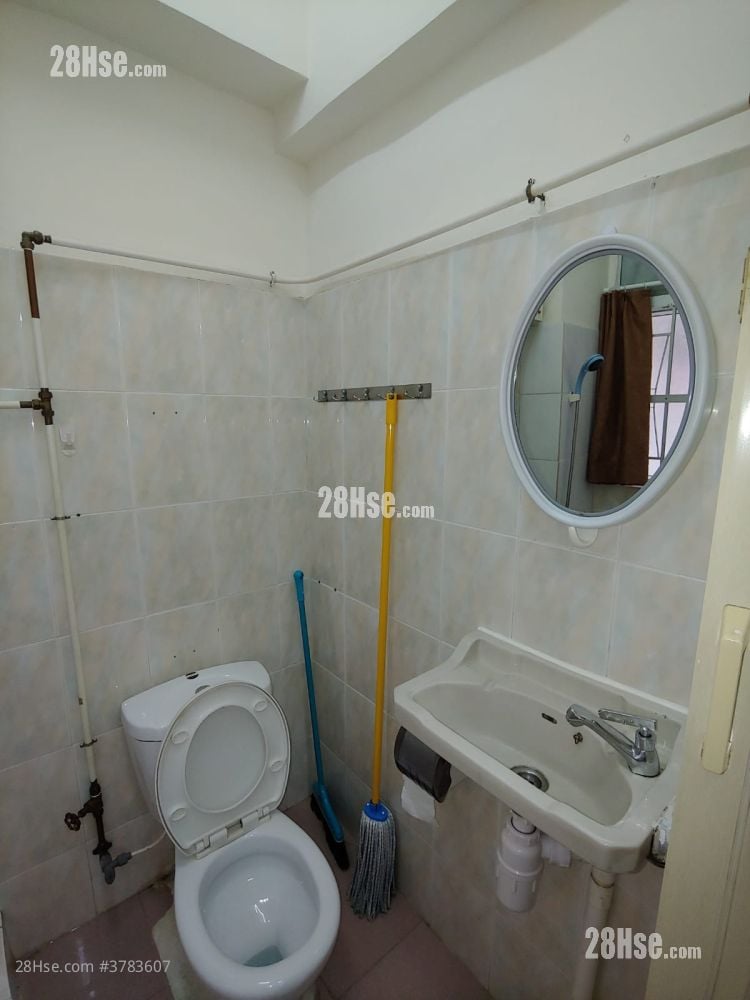 唐楼 租盘 260 平方尺