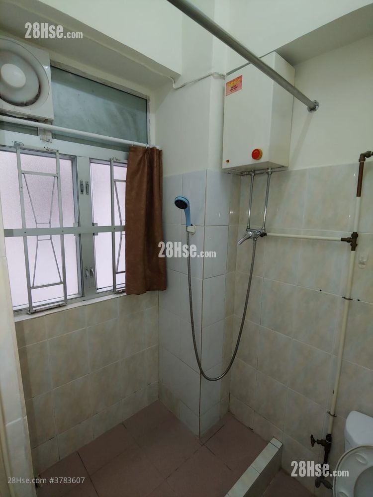 唐楼 租盘 260 平方尺