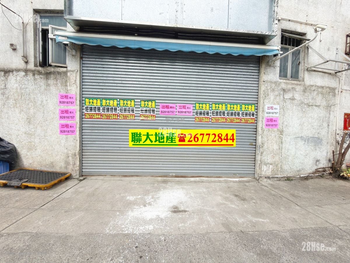 丰盈工贸中心 租盘 1 厕所 1,561 平方尺