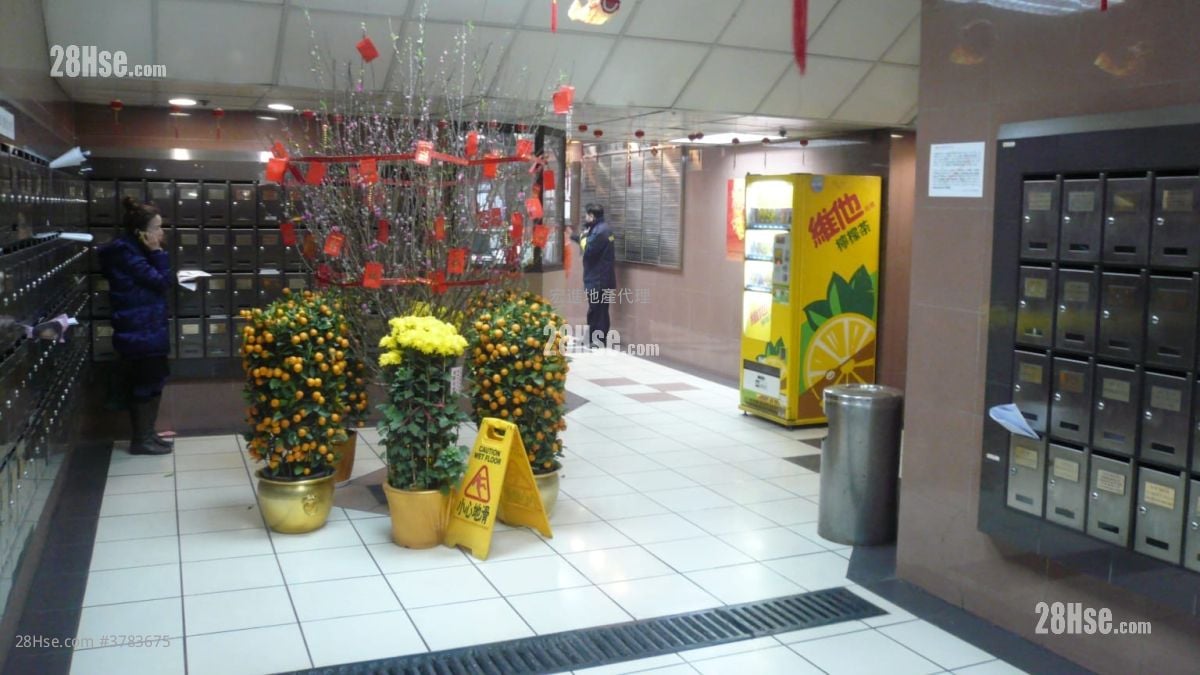 New City Centre Rental