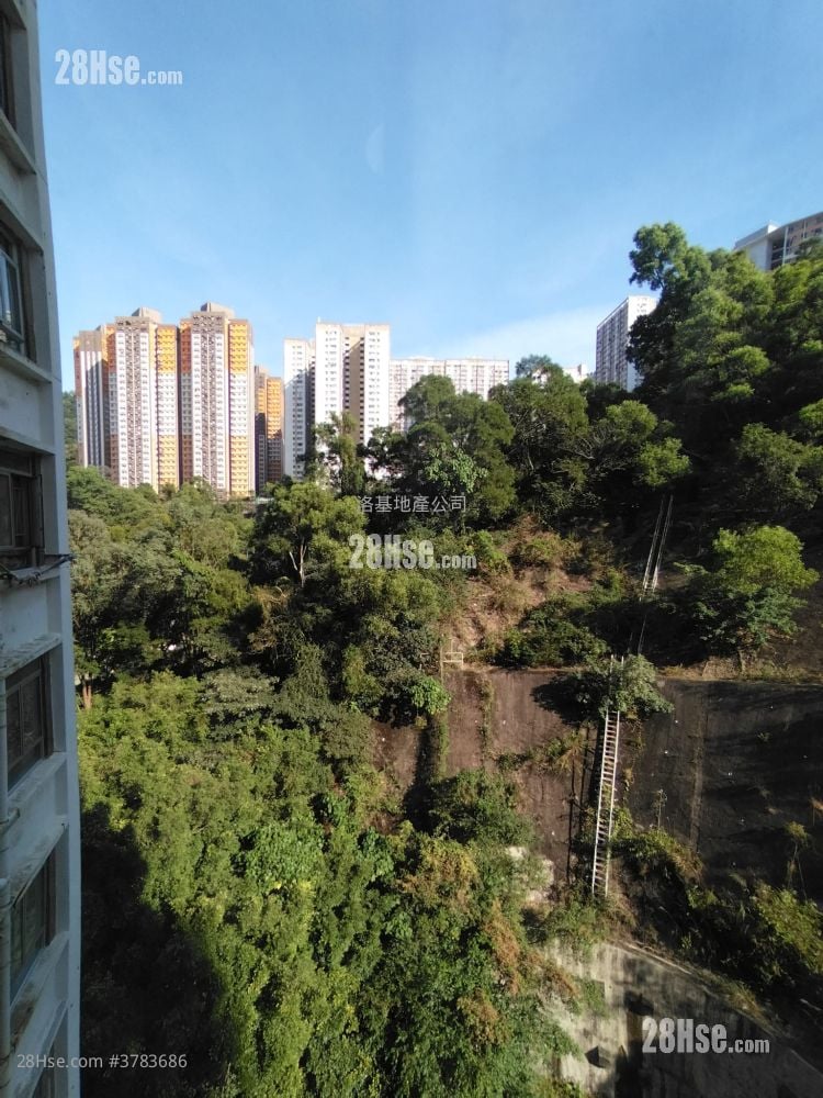 On Kay Court Rental 3 Bedrooms , 1 Bathroom 568 ft²