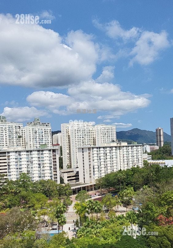 Jade Plaza Sell 1 Bedroom 262 ft²