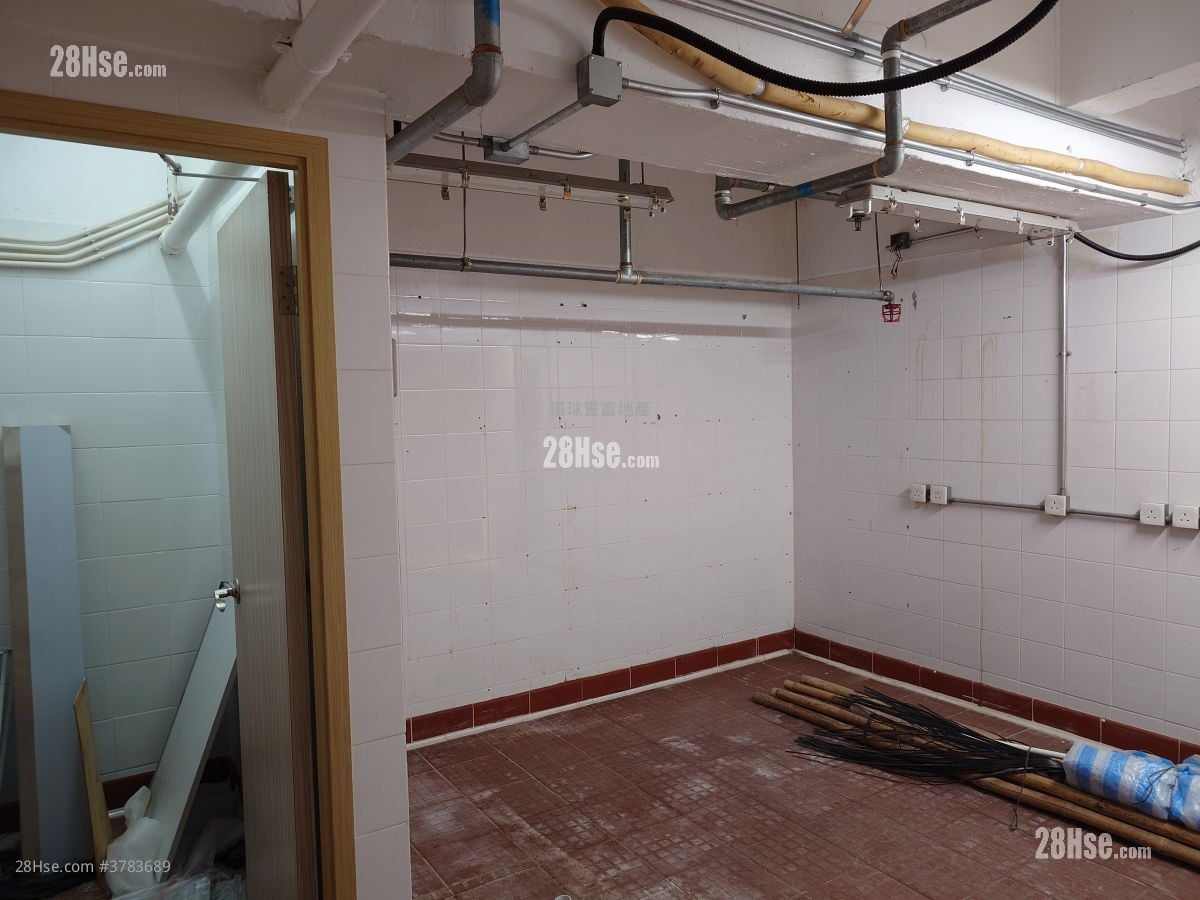 骆驼漆大厦 租盘 2,267 平方尺