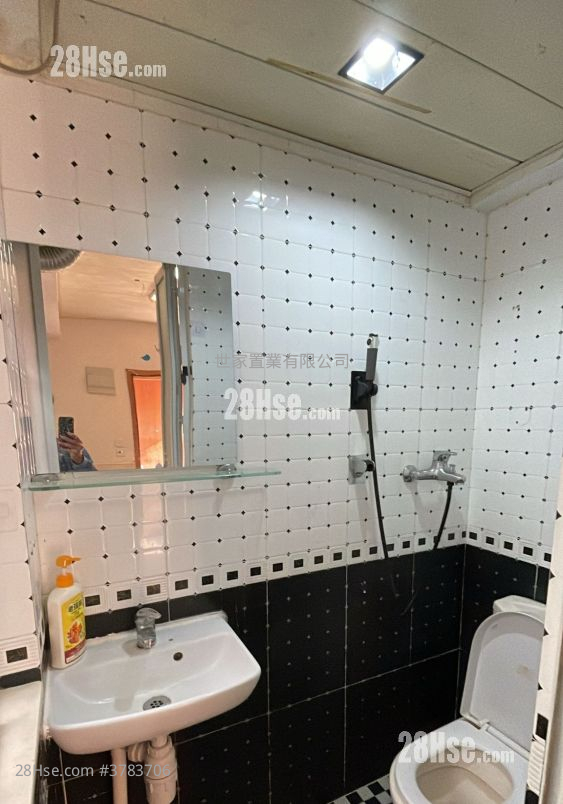 黑布街17号 售盘 523 平方尺