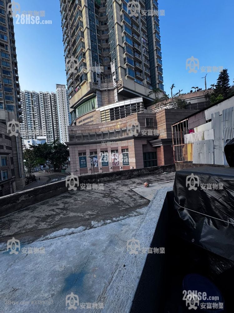 宝城大楼 售盘 2 房 , 1 浴室 254 平方尺